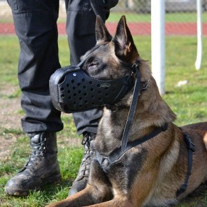 Облегченный ударный намордник для атаки «Fighting» дрессировка малинуа